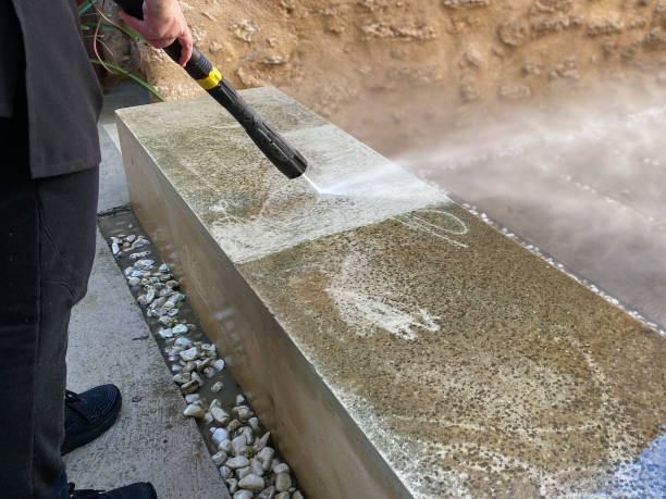 Best Pressure Washing Near Me  in Balm, FL