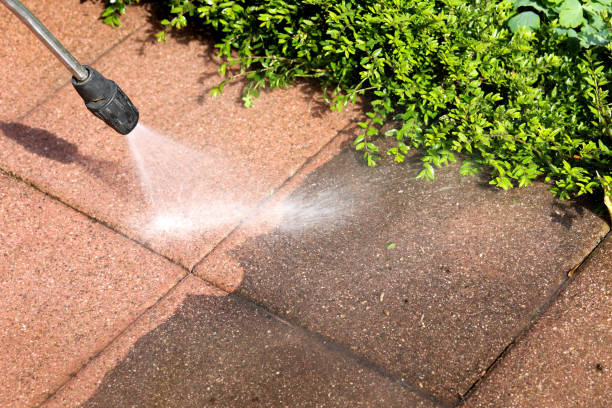 Best Residential Pressure Washing Services  in Balm, FL